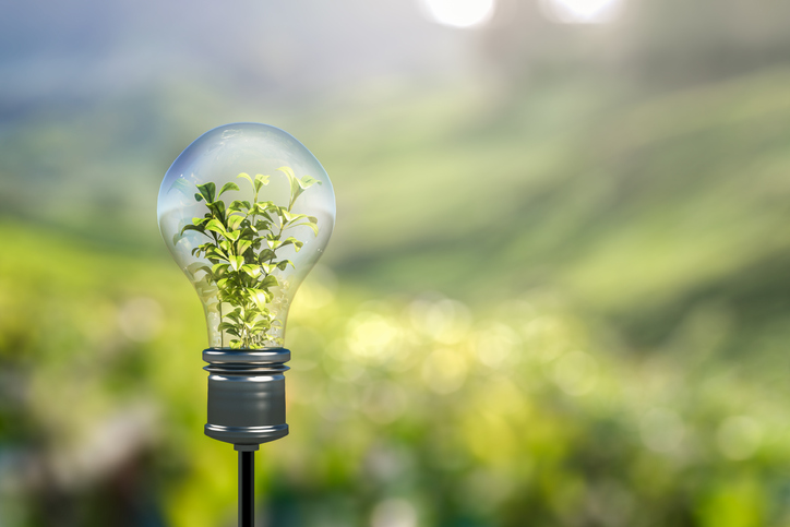 Light bulb with greenery inside