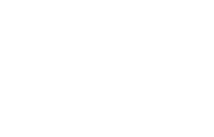 White Zeigo Logo