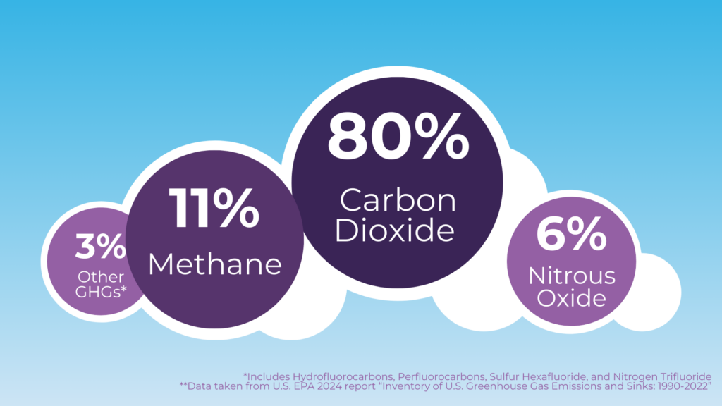 Graphic breaking down concentration of different greenhouse gases in the atmosphere, including carbon dioxide, methane, nitrous oxide, and others.